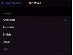 ios14.5中Siri语音怎么更换? iOS14.5版本Siri语音更换方法