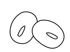 ps怎么设计简笔画效果的纳豆logo? ps纳豆的画法