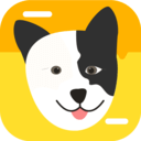 猫狗翻译神器 for Android v1.3 安卓版