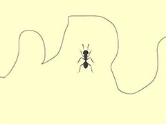 Animate怎么制作蚂蚁爬过的动画? Animate蚂蚁爬行动画的做法