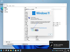 Windows11怎么安装？Windows11系统安装图文教程(附Win11系统镜像