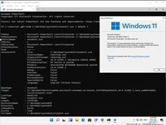 Windows11 ISO镜像提前泄露：微软彻底发飙 追查镜像下载网站