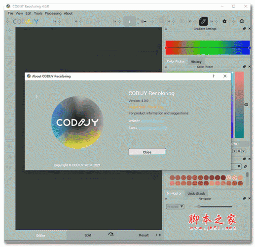 codijy colorizer pro图片上色软件 v4.0.0 破解安装版