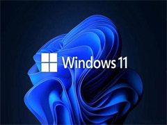 Win11一共有几个版本？Win11各个版本有什么区别