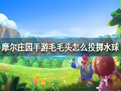 摩尔庄园投掷水球有什么技巧?摩尔庄园投掷水球技巧