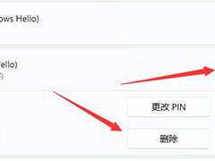 Win11pin码登录如何取消?Win11删除pin码登录的方法