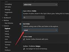 vsCode怎么排序? VisualStudioCode排序设置为顺序混合的技巧