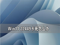 Win11 22449卡死怎么办? Win11 22449卡死的解决方法