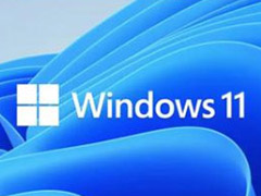 Windows11怎么查询tpm版本?Windows11查询tpm版本教程