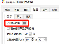 Snipaste截图工具怎么打开窗口阴影功能?