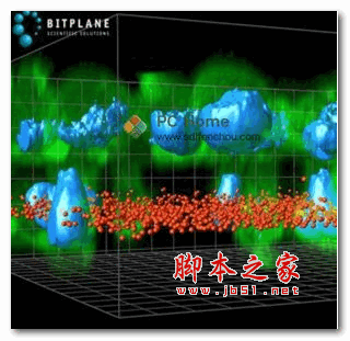 细胞结构分析软件Bitplane Imaris v7.4.2 破解安装版 32位