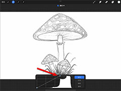 procreate图片怎么转换成线稿? procreate素描效果的实现方法