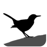  懂鸟全球(鸟类百科) for Android v0.0.10 安卓版