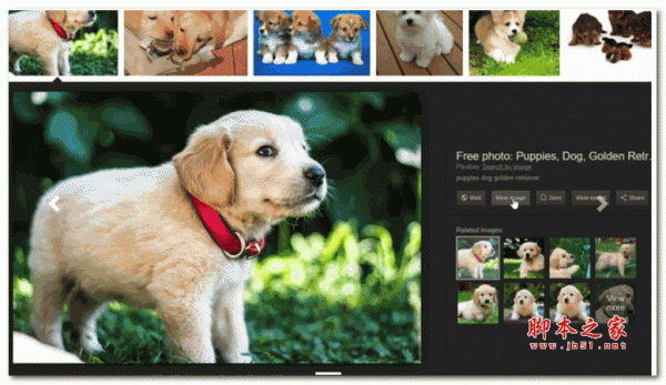 Google浏览器以图搜图工具 View Image插件 v3.3.0 免费版