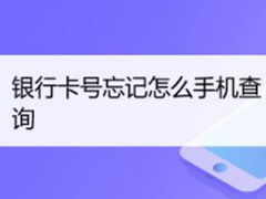 银行卡号忘记了怎么快速查询?用支付宝查看银行卡号操作步骤教程