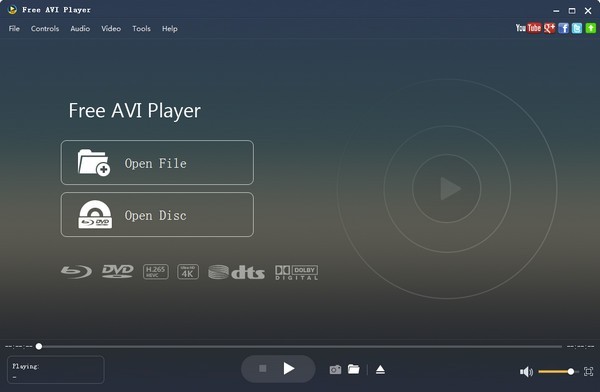 Free AVI Player下载