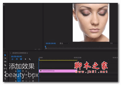 pr视频编辑降噪磨皮美白插件beauty box for Premiere v4.0.6 中文免费版