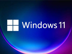 Windows11无法连接网络怎么解决 Windows11无法连接网络解决方法