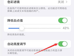 iPhone13如何设置禁用自动亮度 iPhone13禁用自动亮度设置方法