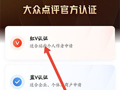 大众点评官方认证红v怎么弄? 大众点评进行红V认证的技巧