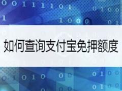 支付宝怎么查看芝麻租物免押额度?支付宝查看芝麻租物免押额度教