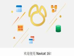 navicat for mysql 16怎么注册？Navicat16全系列最新破解教程(附
