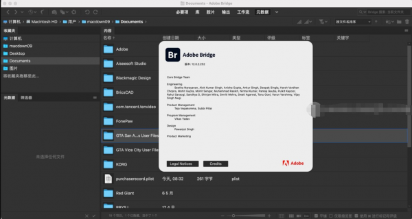 Adobe Bridge(BR) 2022 for Mac v12.0.2 中文破解版