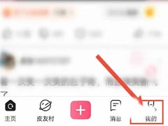 皮皮搞笑在哪查看版本号信息?皮皮搞笑查看版本号方法