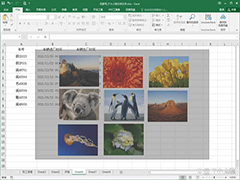 excel如何同时删除多个图片 excel同时删除多个图片方法