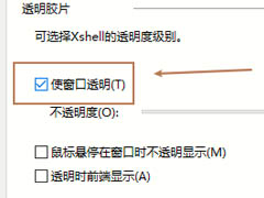 Xshell怎么设置透明窗口?Xshell设置透明窗口教程