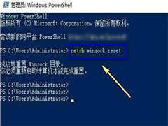 win11怎么进行winsock目录重置? win11重设管理终端目录方法介绍