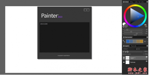 顶级美术绘画软件Corel Painter 2023 v23.0.0.244 中文破解安装版(附方法) 64位