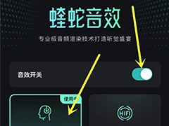 波点音乐蝰蛇音效在哪? 波点音乐开启音效的技巧