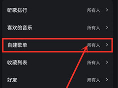 波点音乐怎么隐藏歌单? 波点音乐歌单设置仅自己看的方法