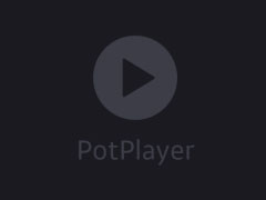 PotPlayer 怎么设置皮肤透明度?PotPlayer设置皮肤透明度教程