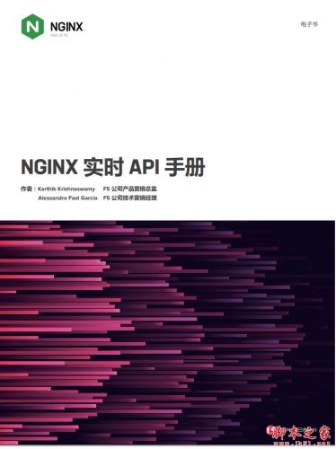 Nginx实时API手册 中文PDF完整版