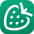 草莓记账本 for Android v1.0.3 安卓手机版