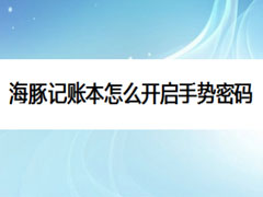 海豚记账本怎么开启手势密码?海豚记账本开启手势密码教程