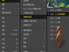 PotPlayer如何调整音轨?PotPlayer调整音轨教程