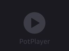 PotPlayer如何设置窗口框架皮肤?PotPlayer设置窗口框架皮肤教程