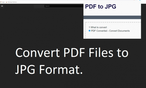 PDF转JPG v3.0.0 Chrome扩展插件