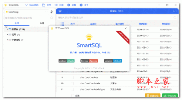 SmartSQL数据库文档查询生成工具 v1.0.4.1