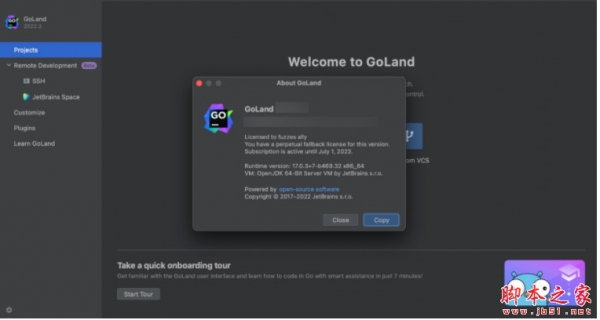 Go语言编辑工具JetBrains GoLand 2024.1.1 中文免费正式版(附方