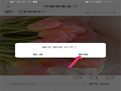 绿洲app如何删除发布动态?绿洲删除发布的动态方法