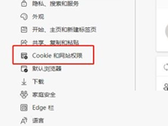 edge浏览器怎么查看Cookie数据 edge浏览器查看Cookie数据教程