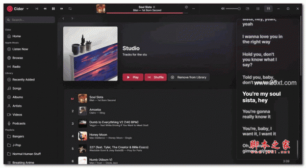 Cider(Apple Music第三方客户端) v1.5.9 安装版
