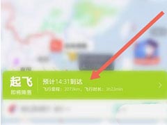 飞常准怎么查航班动态查询? 飞常准航班动态实时查询的技巧