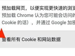 谷歌浏览器Mac版怎么查看Cookie?谷歌浏览器Mac版查看Cookie教程
