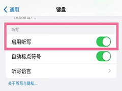 iPhone14如何开启听写功能 iPhone14开启听写功能方法