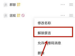 最右群聊怎么解除禁言？最右群聊解除禁言方法